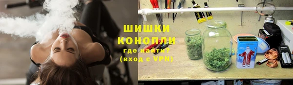 твердый Дмитровск